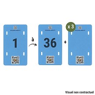N° postes bleus 1-36 + 3 vierges (102062)